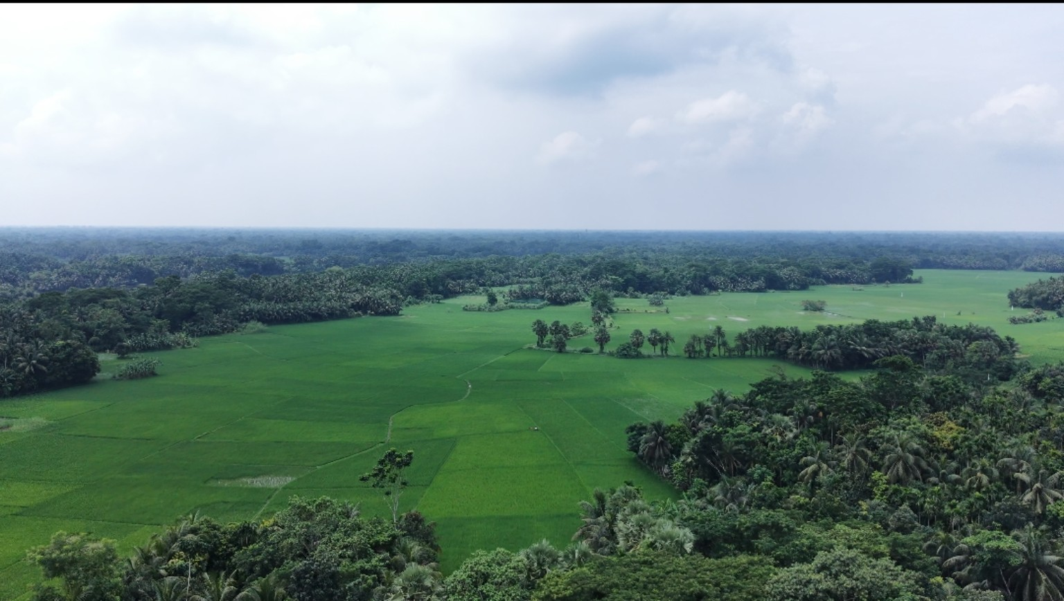 Endless Green